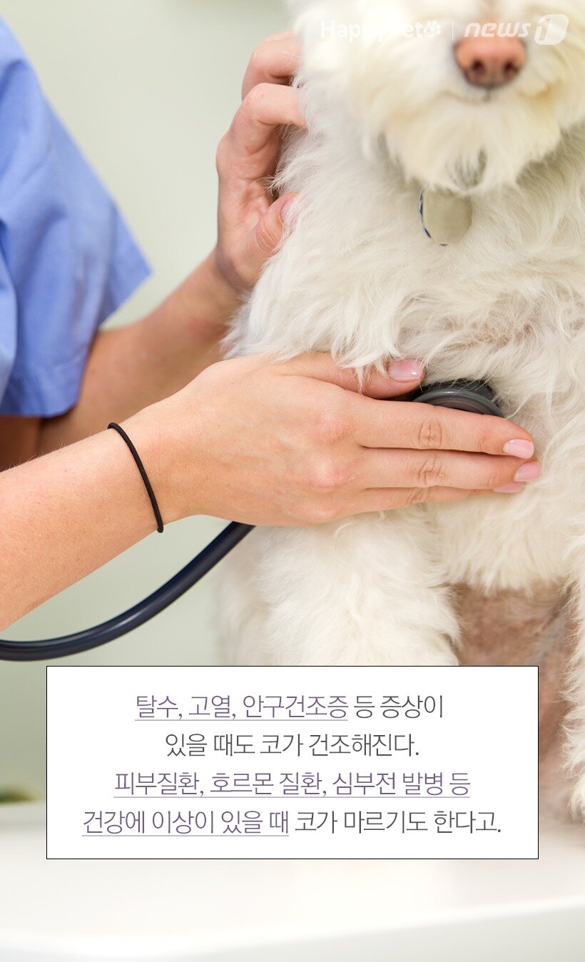 본문 이미지 -  
