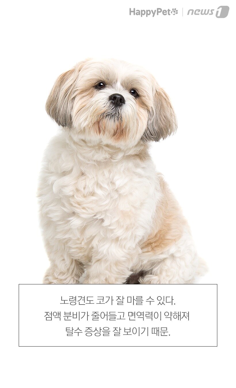 본문 이미지 -  