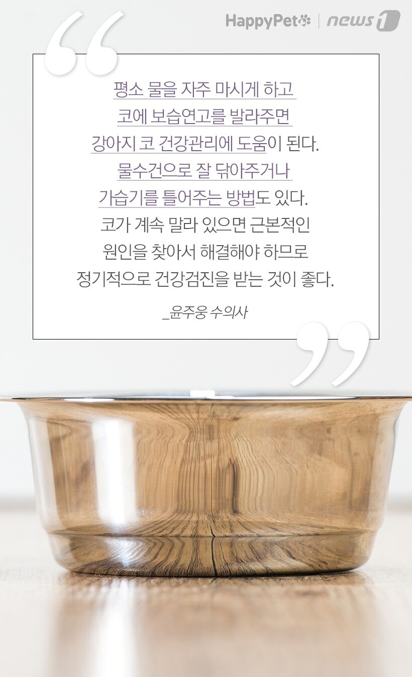 본문 이미지 - 참고 행복이있는동물병원 윤주웅 수의사 외 