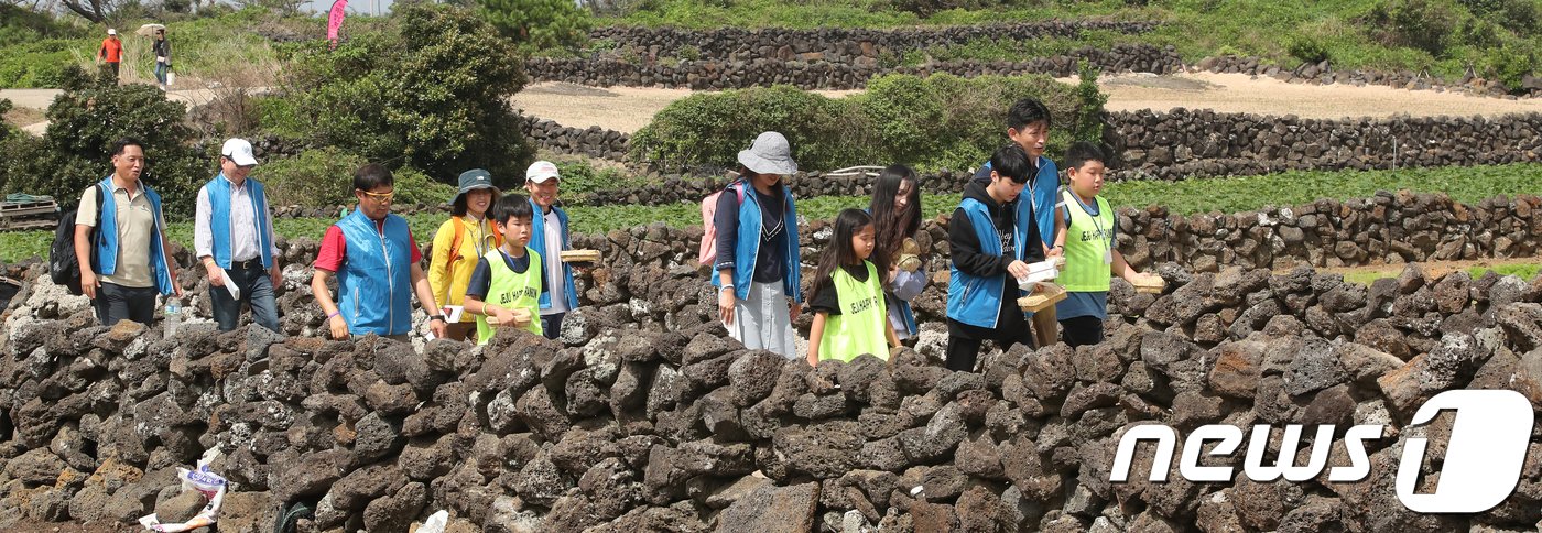 본문 이미지 - 제주 밭담길(뉴스1DB)ⓒ News1 