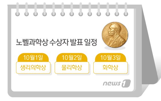 본문 이미지 - ⓒ News1 방은영 디자이너