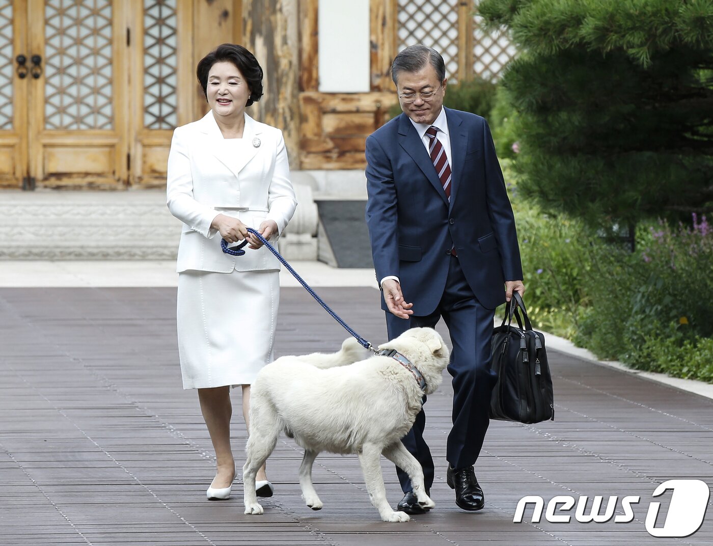 본문 이미지 - 문재인 대통령과 부인 김정숙 여사가 18일 오전 청와대에서 남북정상회담이 열리는 평양으로 향하기 위해 관저를 나서고 있다. 반려견인 풍산개 마루가 꼬리를 흔들며 환송하고 있다. 2018.9.18/뉴스1 ⓒ News1 평양사진공동취재단