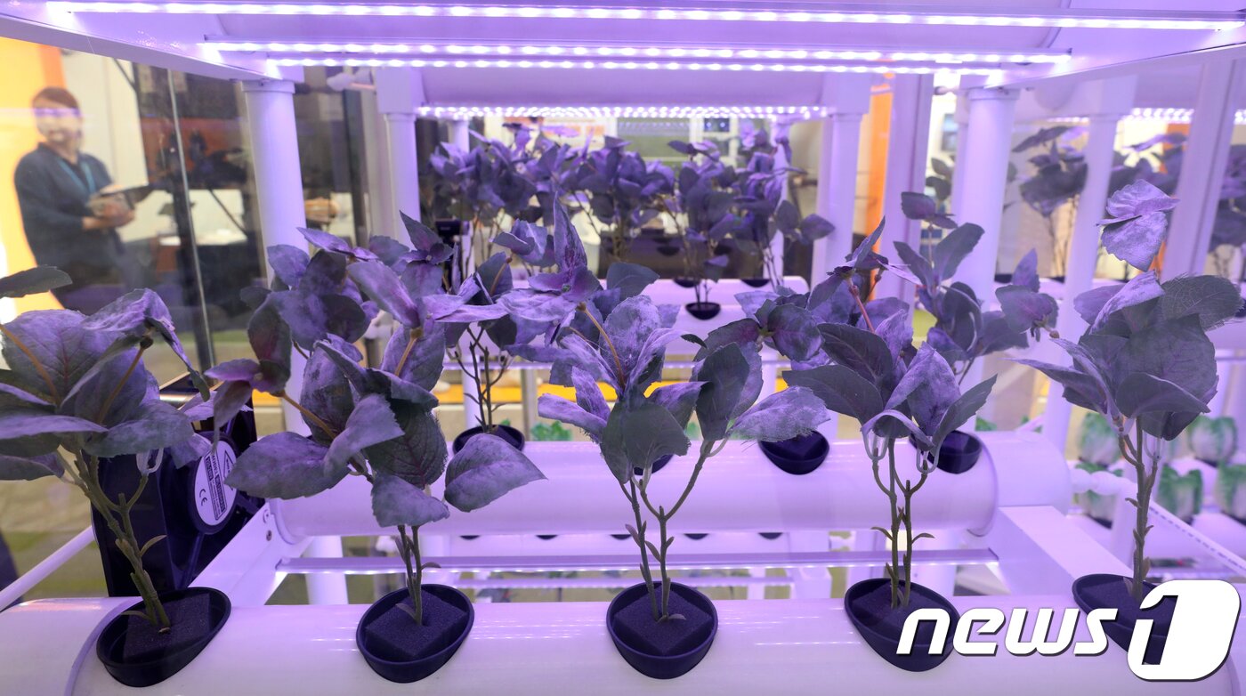 본문 이미지 - &#40;사진은 기사 내용과 무관함&#41; / 뉴스1 ⓒ News1자