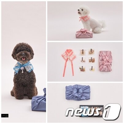 본문 이미지 - ⓒ News1