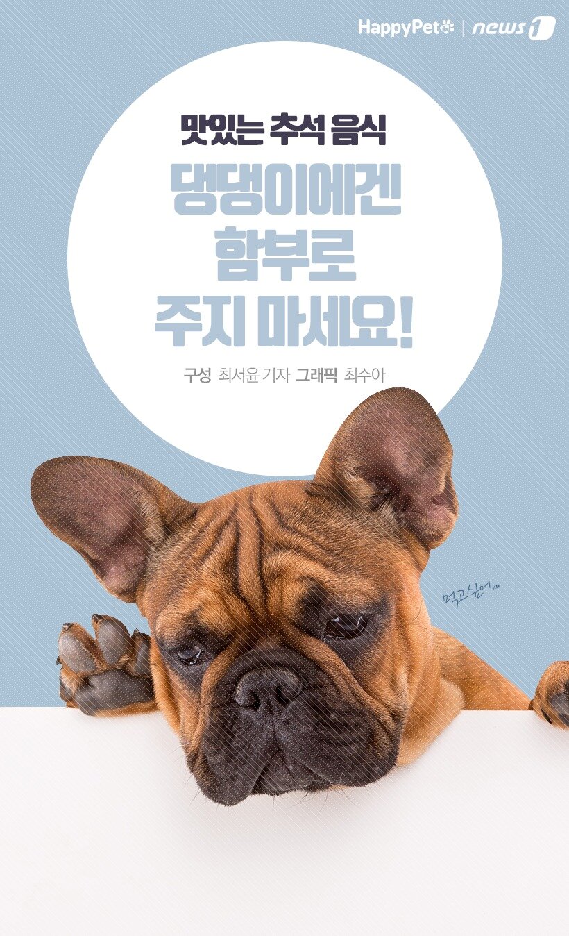 본문 이미지 - 댕댕이한테 주면 안 되는 추석 음식