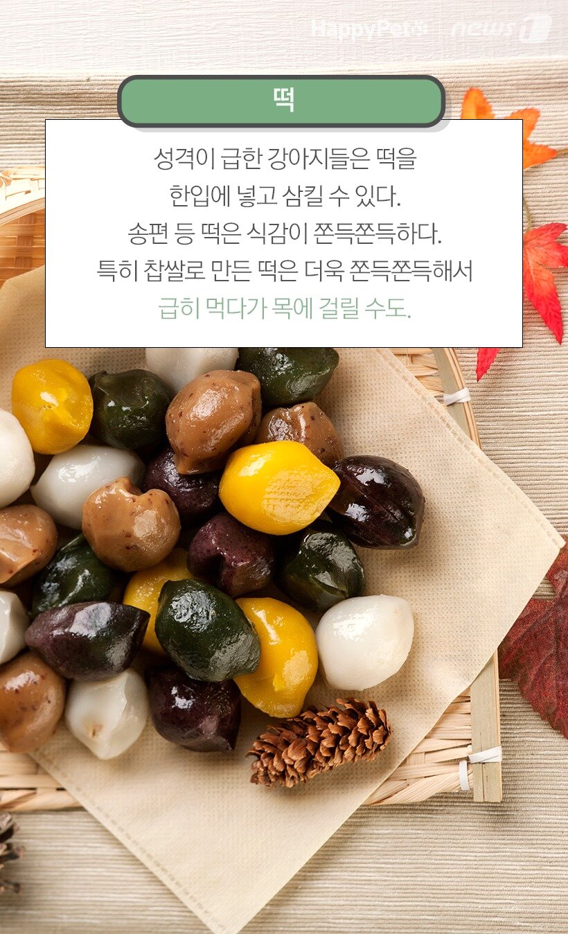 본문 이미지 -  떡