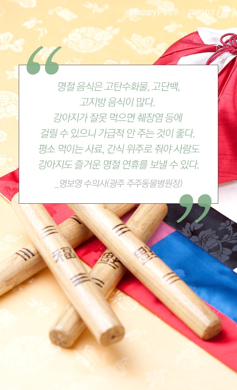 본문 이미지 - 명보영 수의사(광주 주주동물병원장) 