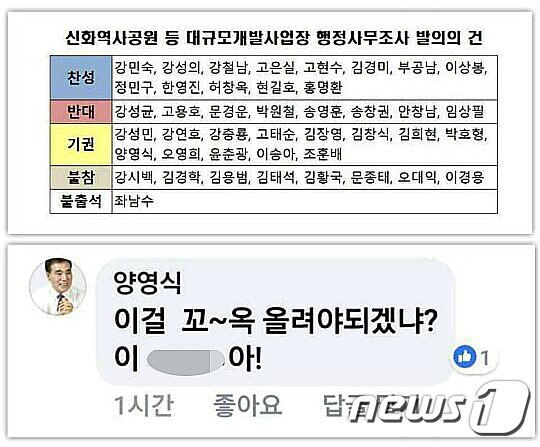 본문 이미지 - 제364회 제주도의회 제1차 정례회 제2차 본회의에서 부결된 '신화역사공원 등 대규모개발사업장 행정사무조사 발의의 건' 표결 결과와 이를 SNS에 올린 동료의원에게 남긴 양영식 의원(더불어민주당·제주시 연동 갑)의 욕설댓글.ⓒ News1