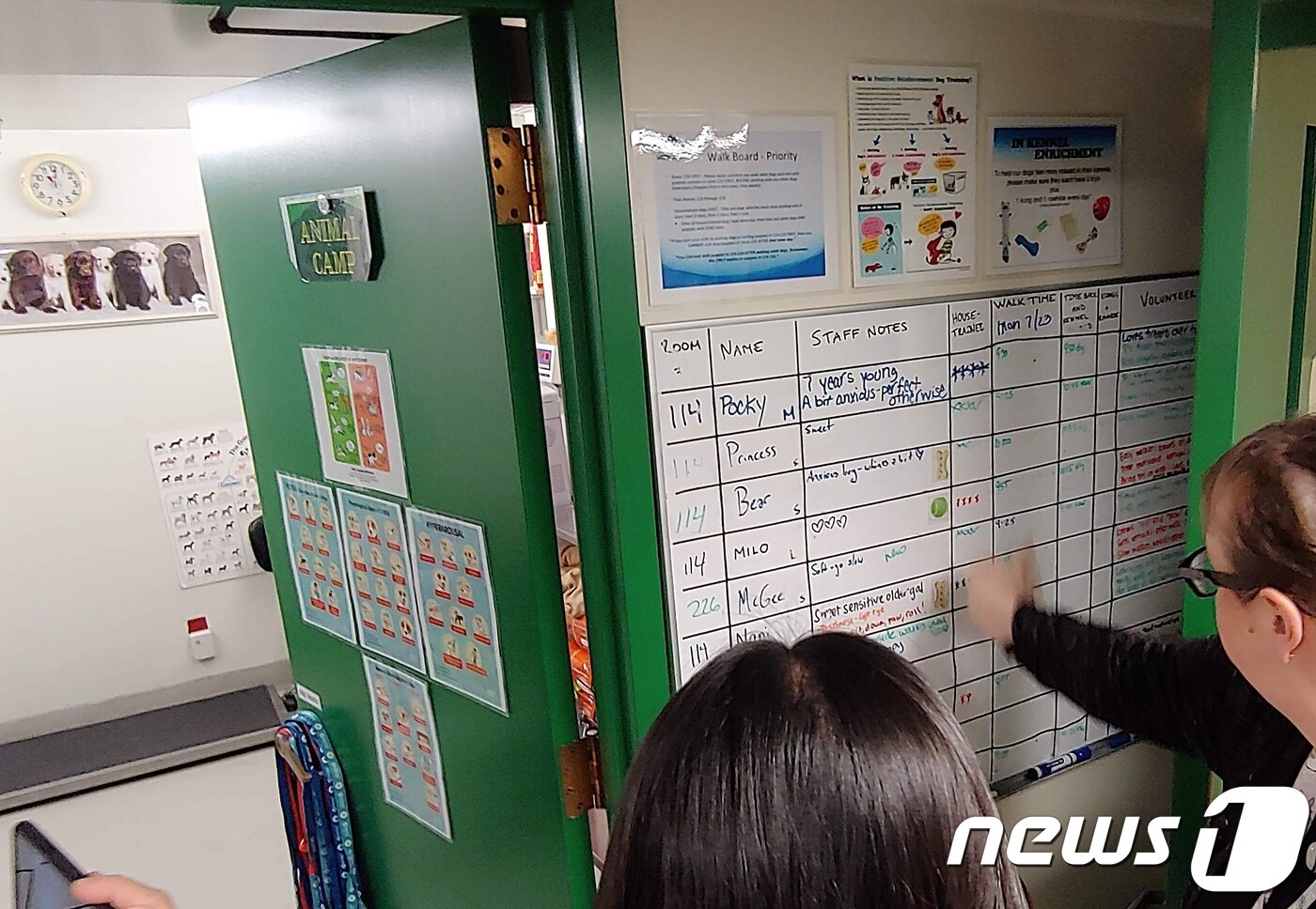 본문 이미지 - San Francisco Animal Care & Control 내부 모습. ⓒ News1