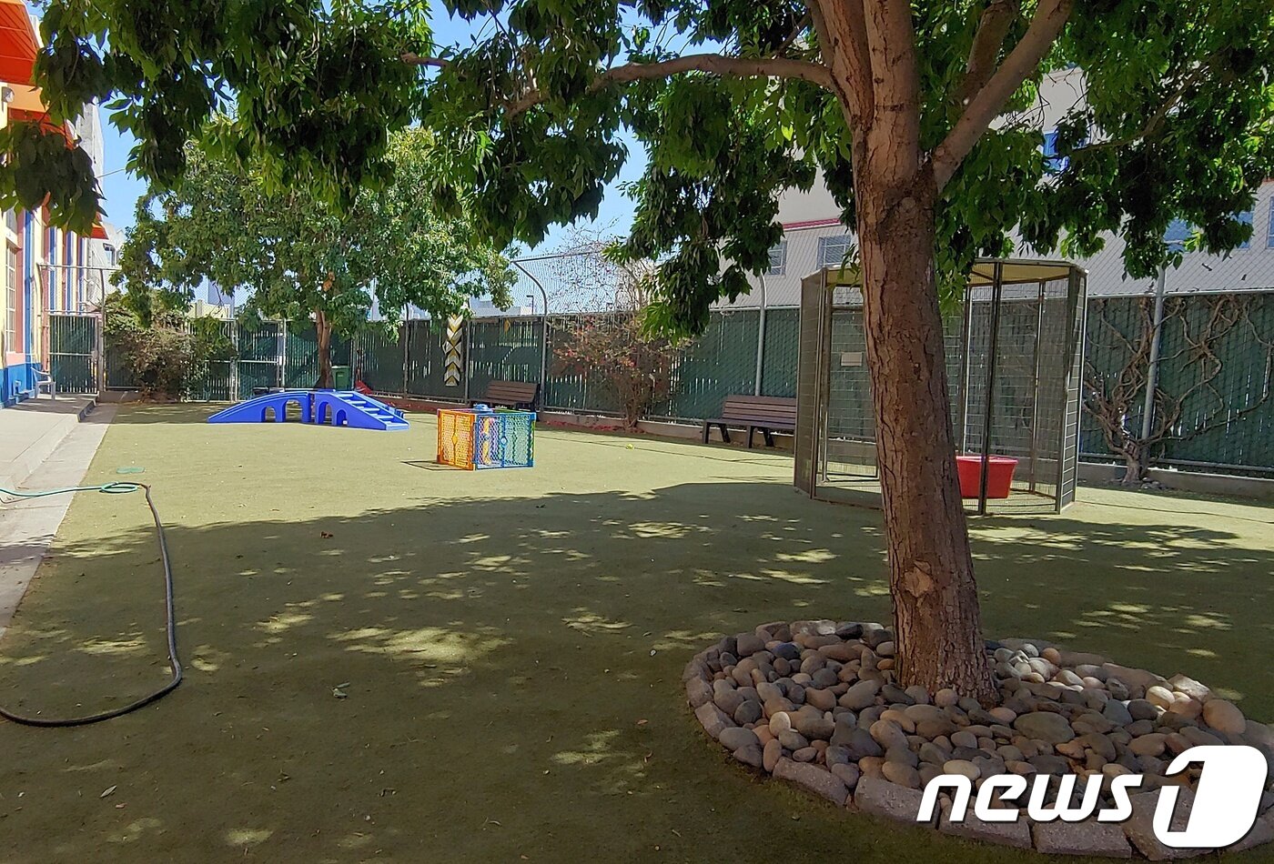 본문 이미지 - San Francisco Animal Care&Control 내 시설에는 동물들이 뛰어놀 수 있는 넓은 운동장이 있다. ⓒ News1