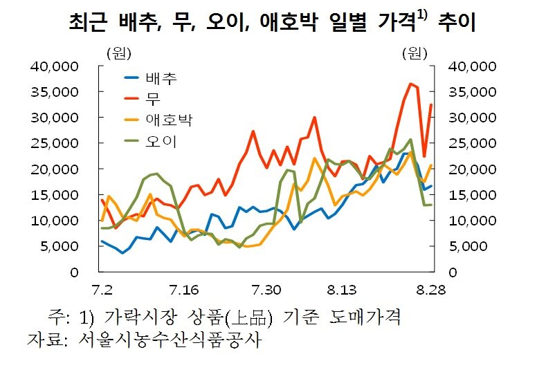 본문 이미지 - 최근 배추, 무, 오이, 애호박 일별 가격 추이. (한국은행 제공)ⓒ News1