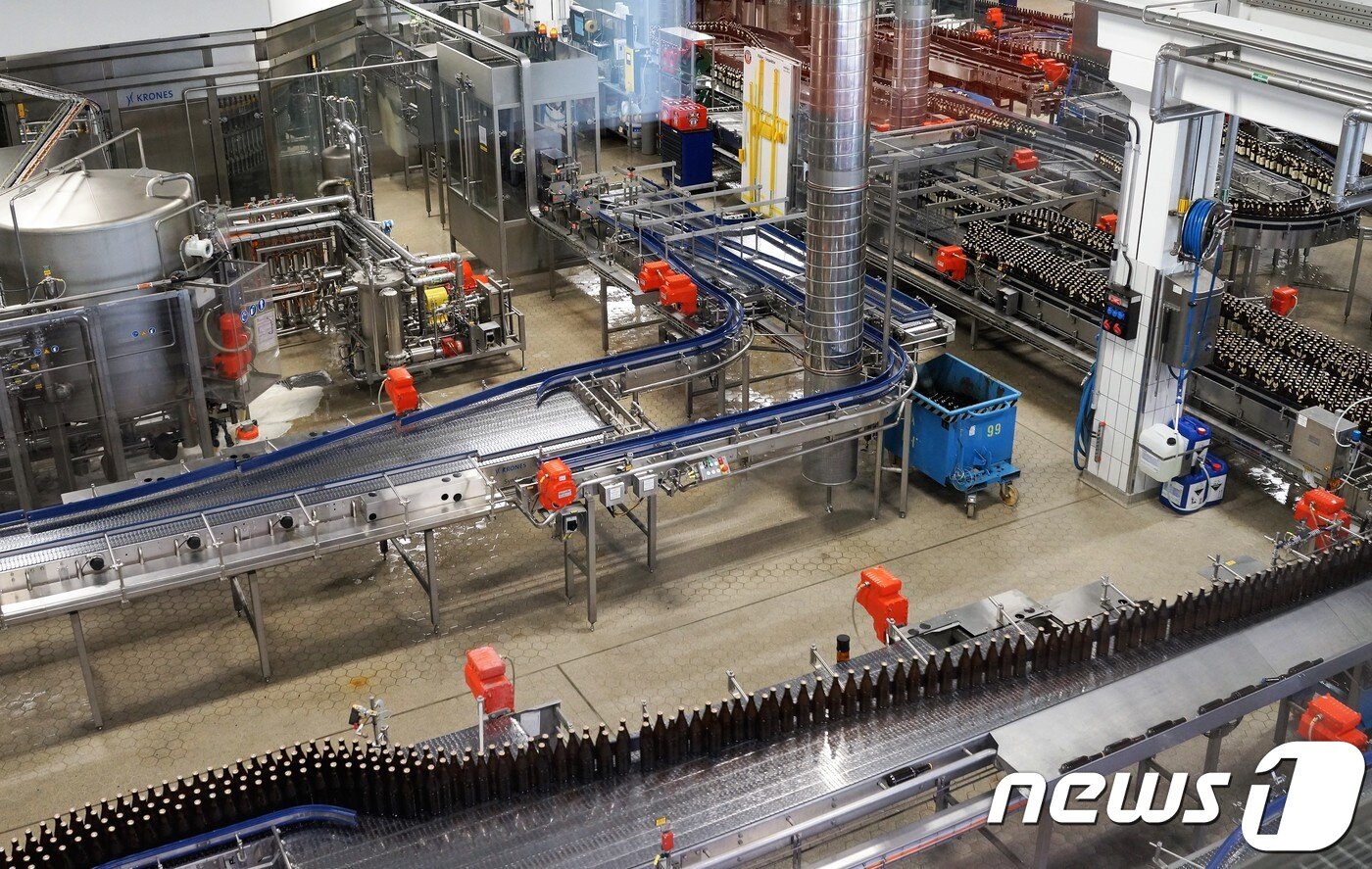 본문 이미지 - 에딩거 맥주가 병에 담기고 있다. ⓒ News1