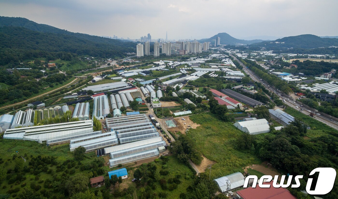 본문 이미지 - 국토부가 신규 공공주택지구로 지정한 과천지구 모습.(뉴스1 자료사진)ⓒ News1 유승관 기자