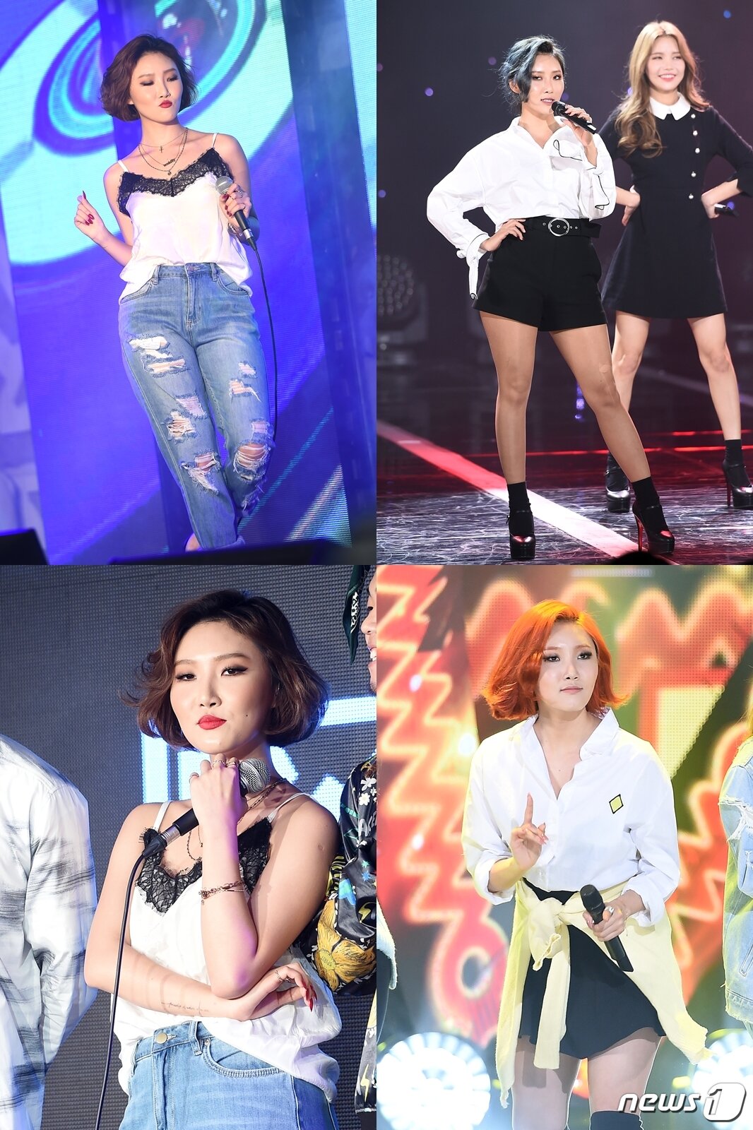 본문 이미지 - 사진= 뉴스1 DB 권현진 기자 ⓒ News1