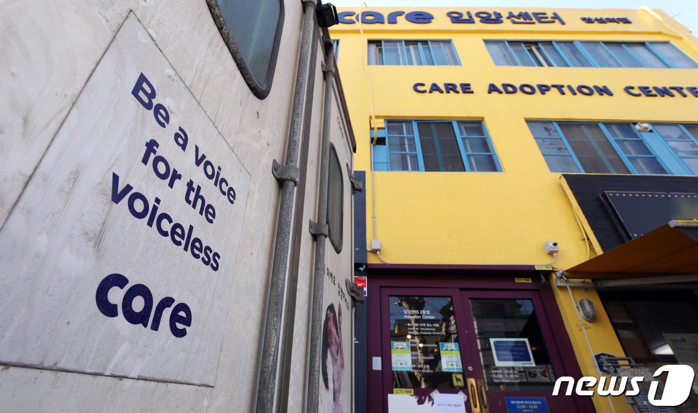 (서울=뉴스1) 구윤성 기자 = 구조한 동물을 안락사해 논란이 된 박소연 동물권단체 케어 대표가 검찰에 고발된다.동물보호단체 비글구조네트워크는 18일 박 대표에 대해 특정경제범죄가 …