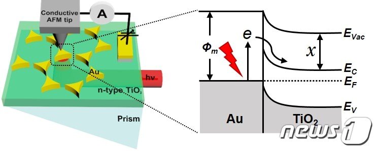 본문 이미지 - 금 나노프리즘 계면에서의 핫전자 움직임 실시간 관찰(IBS 제공)ⓒ 뉴스1