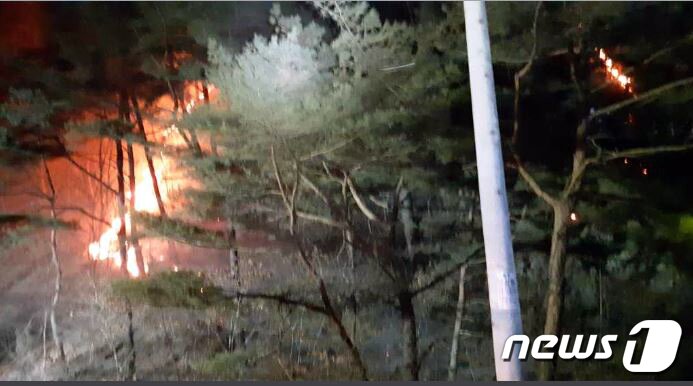 본문 이미지 - (강원도소방본부제공)2019.1.27/뉴스1 ⓒ News1 홍성우 기자