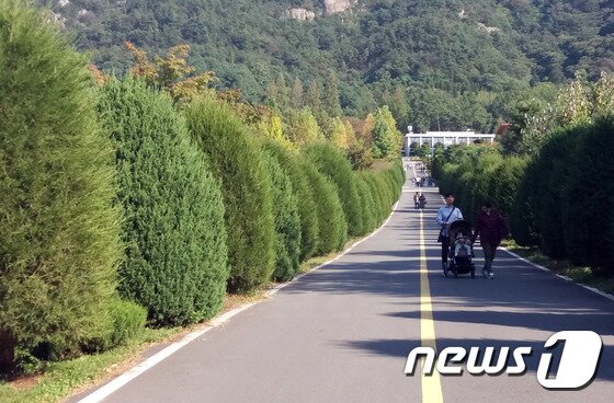 전남산림문화연구소 이미지