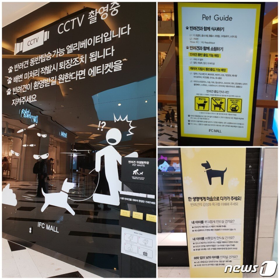 본문 이미지 - IFC몰 곳곳에 배치된 안내문ⓒ News1 김연수 기자