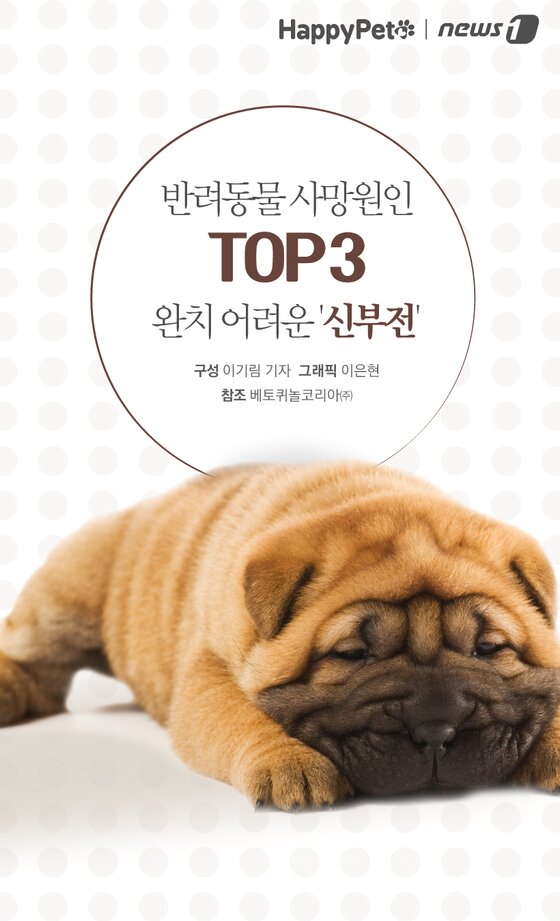 본문 이미지 - (참고-베토퀴놀코리아㈜)