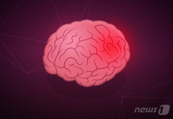 본문 이미지 - ⓒ News1 DB