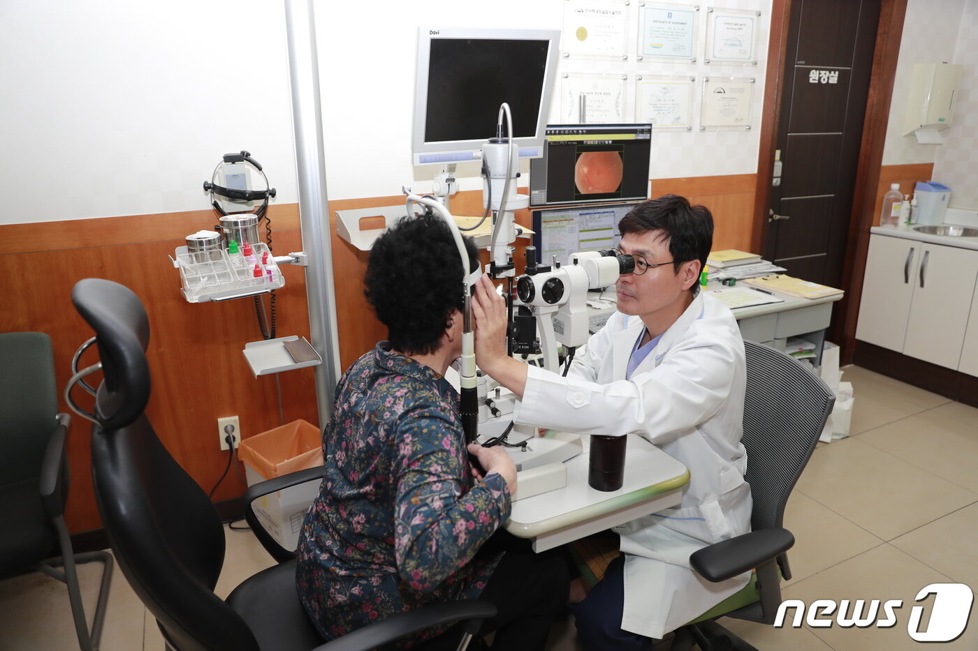 본문 이미지 - 백내장 검사.(보성군 제공)/뉴스1 ⓒ News1 지정운 기자