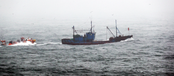 충남도, 봄철 불법 어업 집중 단속…전어·주꾸미 포획 '엄정 대응'