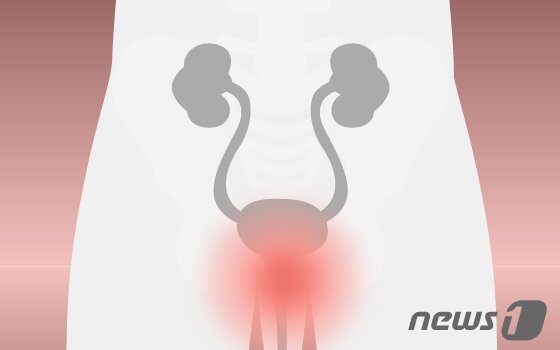 본문 이미지 - ⓒ News1 DB