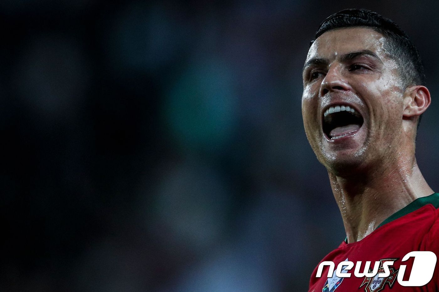 본문 이미지 - 크리스티아누 호날두. ⓒ AFP=뉴스1