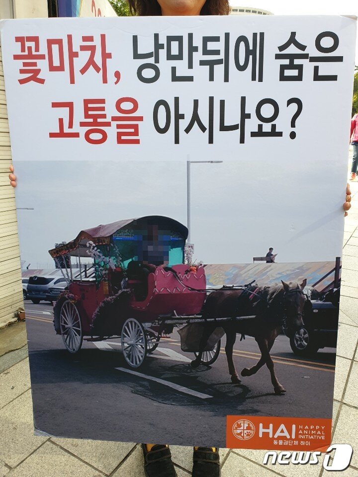 본문 이미지 - 동물권단체 하이가 꽃마차 반대 캠페인을 진행했다. ⓒ 뉴스1