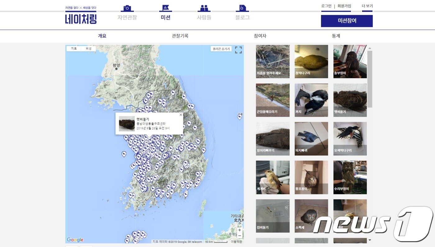 본문 이미지 - 네이처링 '야생조류 유리창 충돌 조사' 미션 갈무리 ⓒ 뉴스1