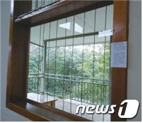 본문 이미지 - 줄을 활용해 버드세이버를 설치한 건물 ⓒ 뉴스1