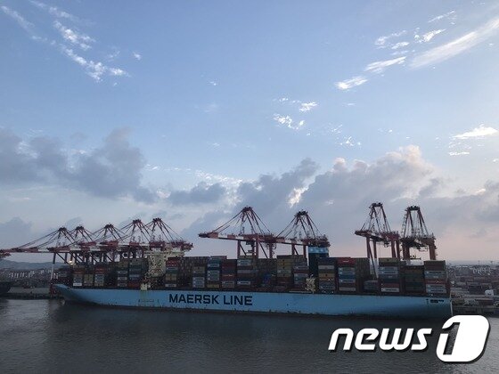 본문 이미지 - 중국 상해항 양산터미널에서 화물 하역·선적 작업 중인 머스크 선사 소속 선박. ⓒ 뉴스1