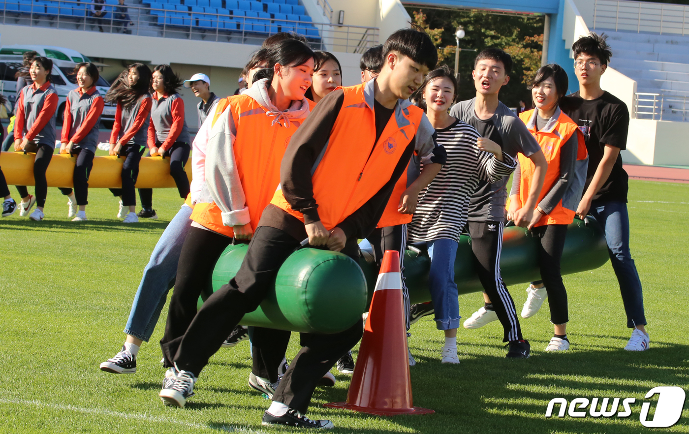 (칠곡=뉴스1) 정우용 기자 = 19일 경북 칠곡종합운동장에서 열린 '제58회 칠곡군민 체육대회'  에어봉달리기 경기에서 읍·면·동 참가 선수들이 온 힘을 다해 경기를 하고 있다. …