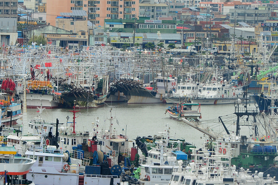 어선 출항 한번에 연료비 600만원 더 "고유가, 조업할수록 손해"