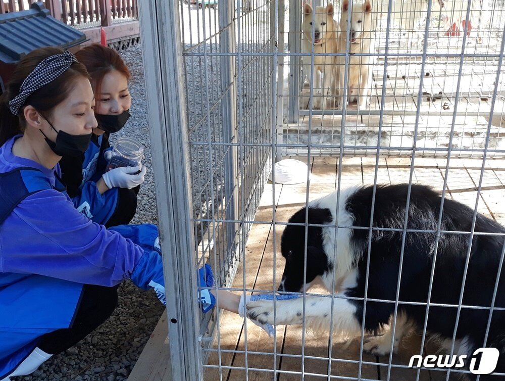 본문 이미지 - 배우 공승연(왼쪽)이 지난 19일 용인시에 위치한 유기동물보호소에서 유기견과 교감하고 있다. ⓒ 뉴스1 최서윤 기자