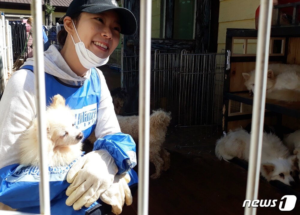 본문 이미지 - 배우 한승연이 지난 19일 유기동물보호소에서 봉사활동을 했다. ⓒ 뉴스1 최서윤 기자