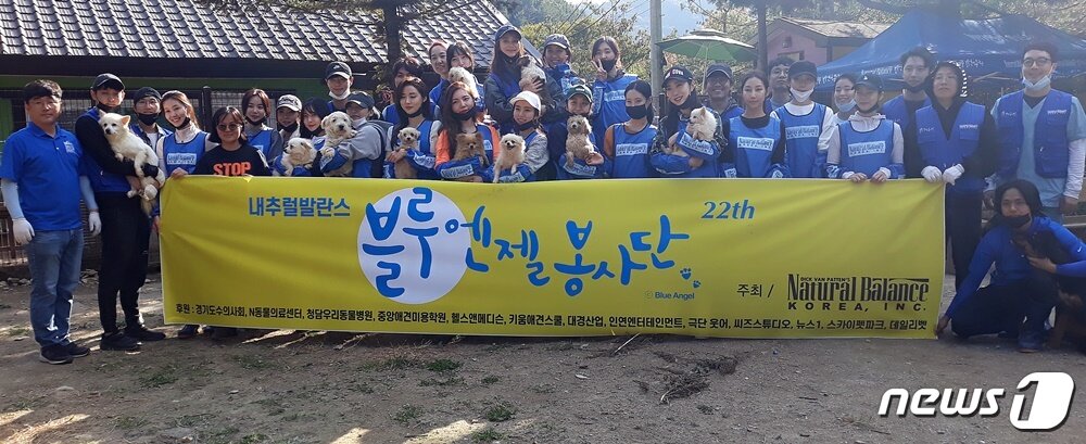 본문 이미지 - 내추럴발란스 블루엔젤봉사단은 지난 19일 용인시에 위치한 유기동물보호소에서 봉사활동을 했다. ⓒ 뉴스1 최서윤 기자