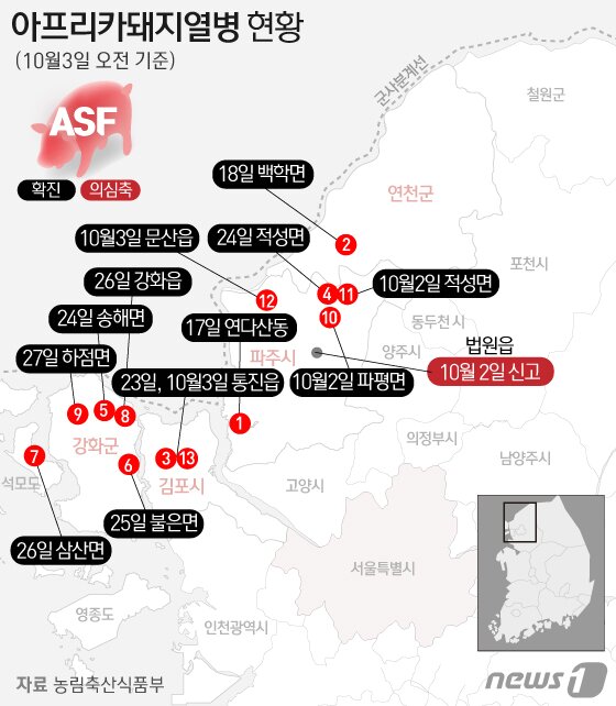 본문 이미지 - ⓒ News1 이지원 디자이너