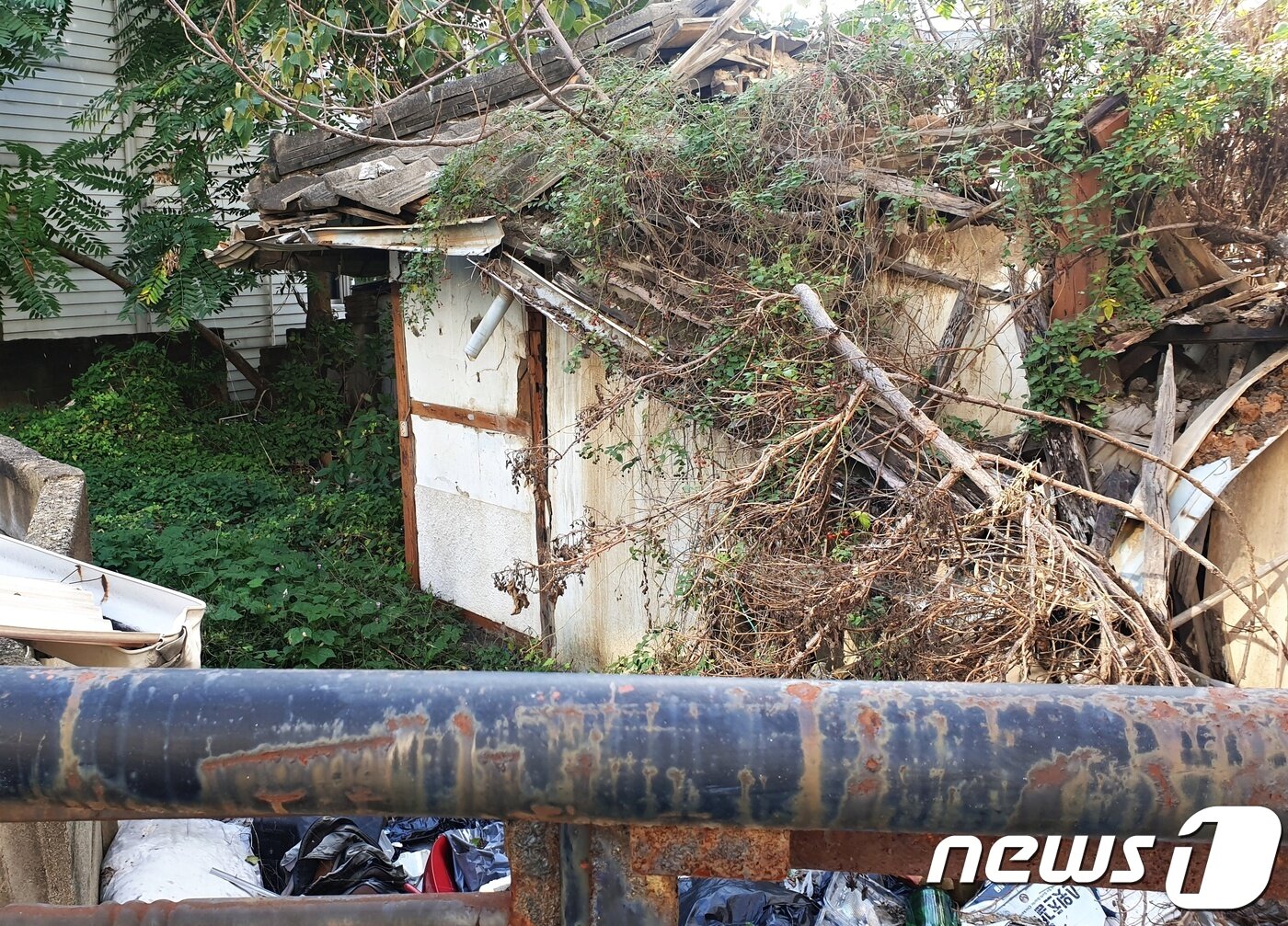 본문 이미지 - 1991년 3월7일 오후 8시쯤 청주시 상당구 남주동의 한 셋방에서 주부 김모씨(당시 29세·여)가 숨진 채 발견됐다.  범행 장소로 추정되는 셋방은  현재 폐가로  방치돼 있다. ⓒ 뉴스1 박태성기자