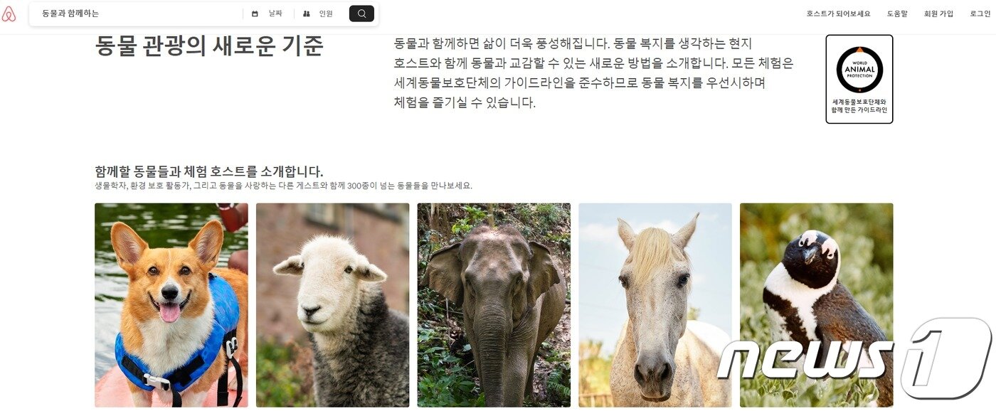 본문 이미지 - 사진 에어비앤비 홈페이지 ⓒ 뉴스1