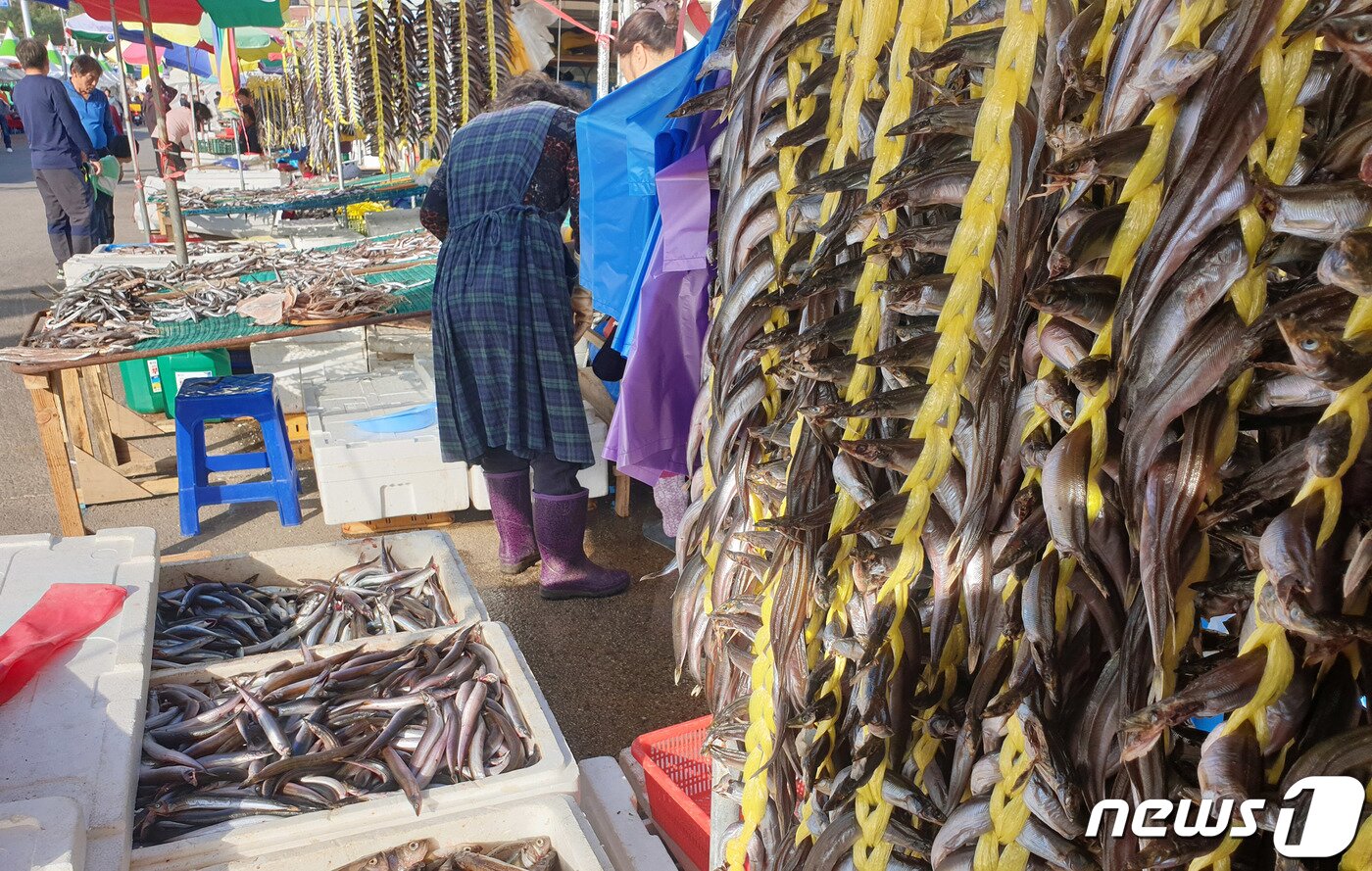 본문 이미지 - 강원도 속초 양미리판장 / 뉴스1DB ⓒ News1