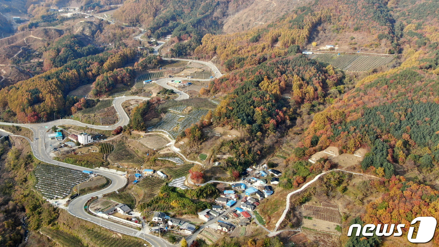 (서울=뉴스1) = 11일 경남 거창군 고제면 개명리 빼재고개에 올가을 마지막 단풍이 물들어 만추의 아름다운 경관을 뽐내고 있다. (거창군 제공) 2019.11.11/뉴스1