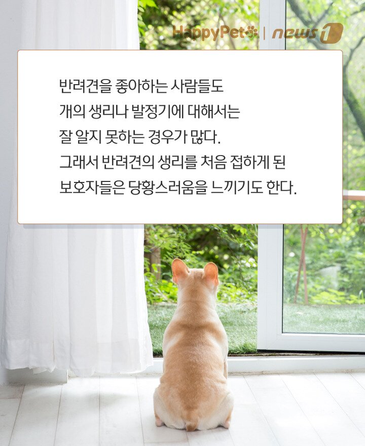 본문 이미지 -  