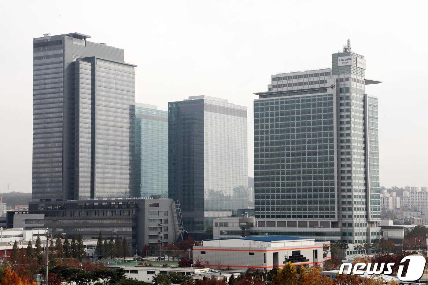 본문 이미지 - 경기도 수원시 영통구 삼성전자 본사 모습. /뉴스1 ⓒ News1 조태형 기자