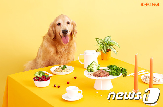 "사람이 먹어도 좋을 펫푸드"…어니스트밀, 제품 리뉴얼 이벤트 - 뉴스 썸네일 이미지