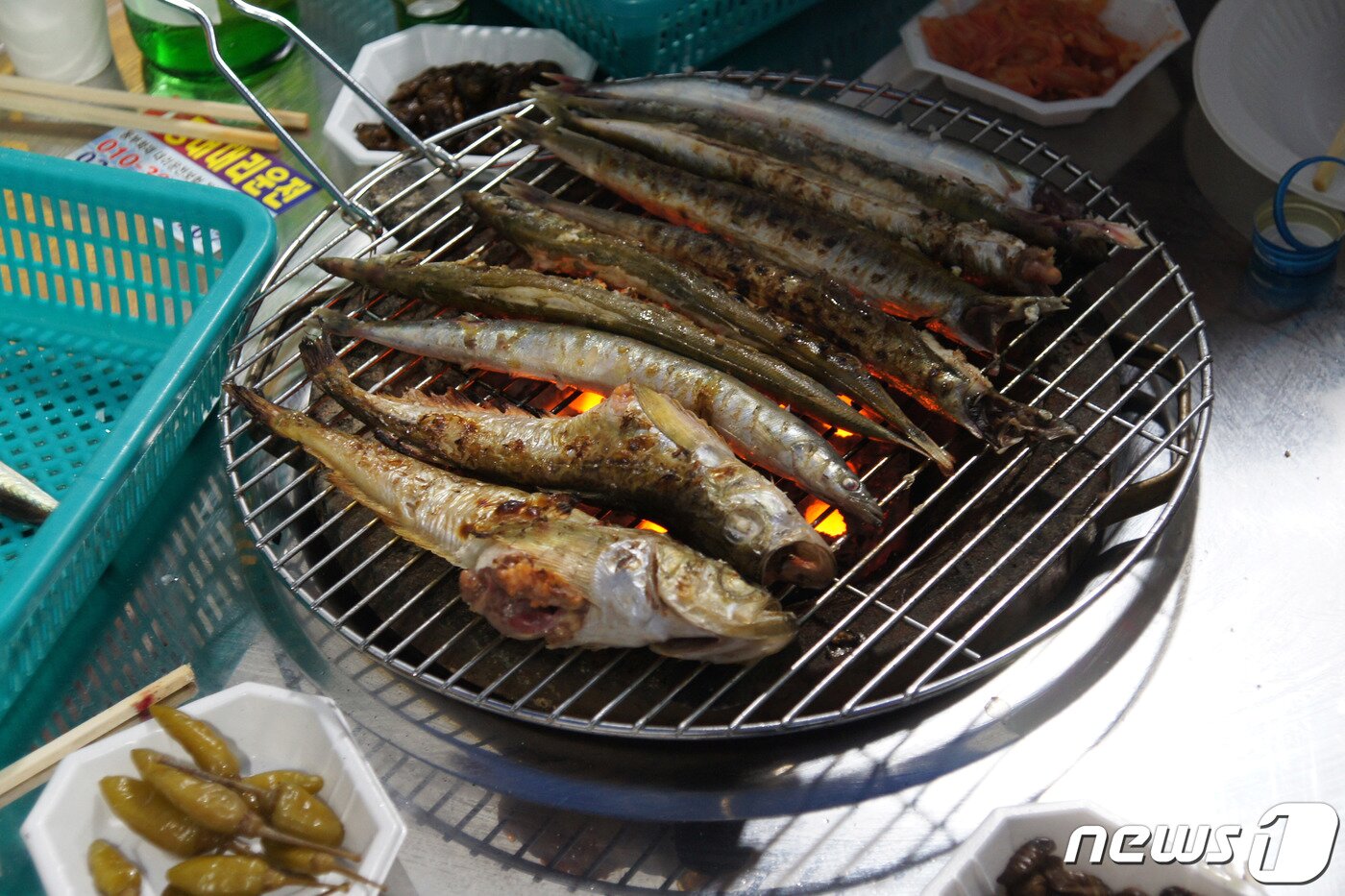 본문 이미지 - 도루묵&#40;속초시 제공 자료사진.재판매 및 DB 금지&#41;