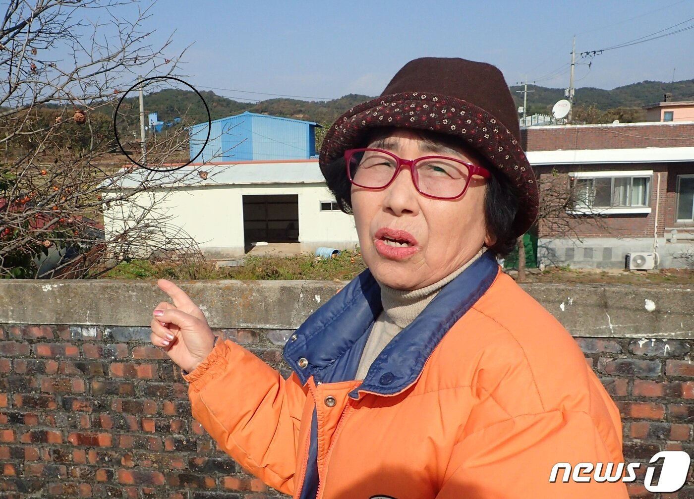 본문 이미지 - 옥상에 올라 감나무 가지 사이로 보이는 금강농산 공장(검은 색 원)을 가리키고 있는 신옥희씨. /뉴스1