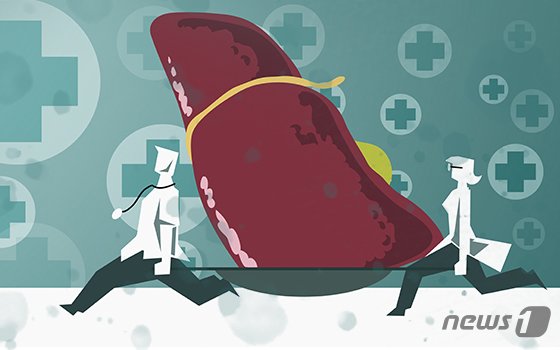 본문 이미지 - ⓒ News1 DB