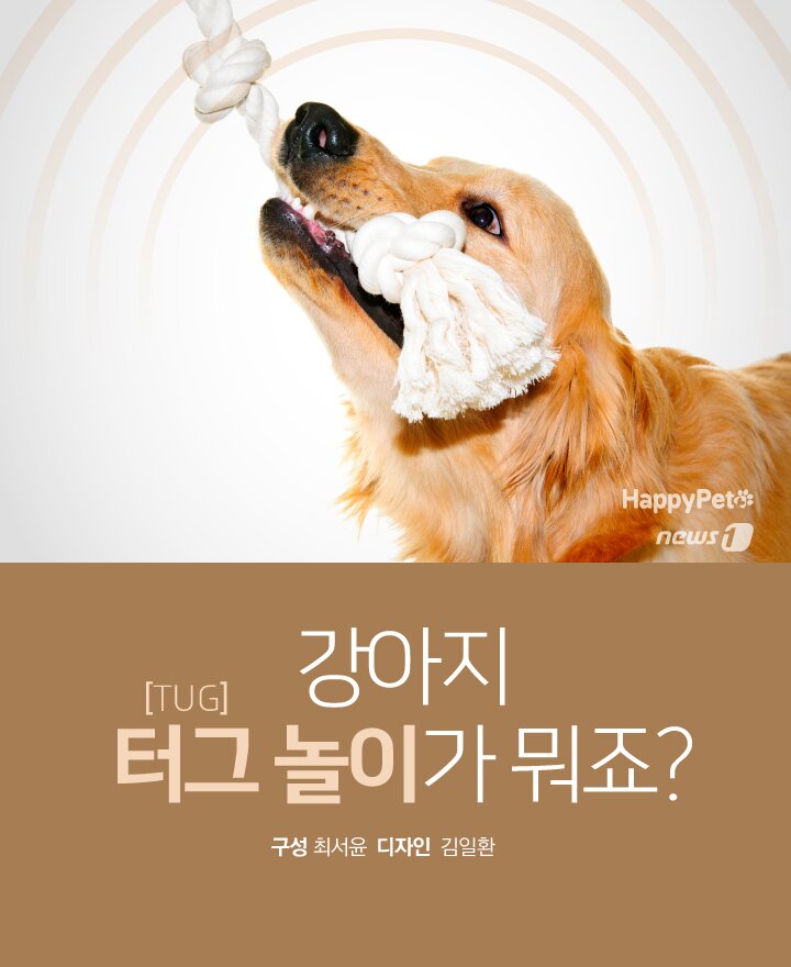 본문 이미지 -  